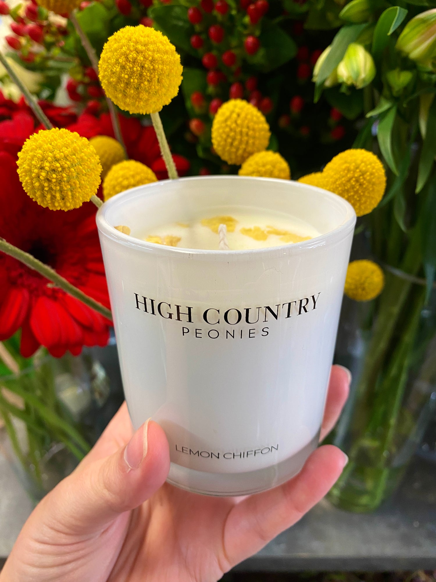 Candles + Fragrance
